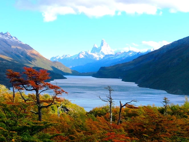 Blick auf den Lago Del Desierto, hinten in der Mitte erkennbar der Fitz Roy.