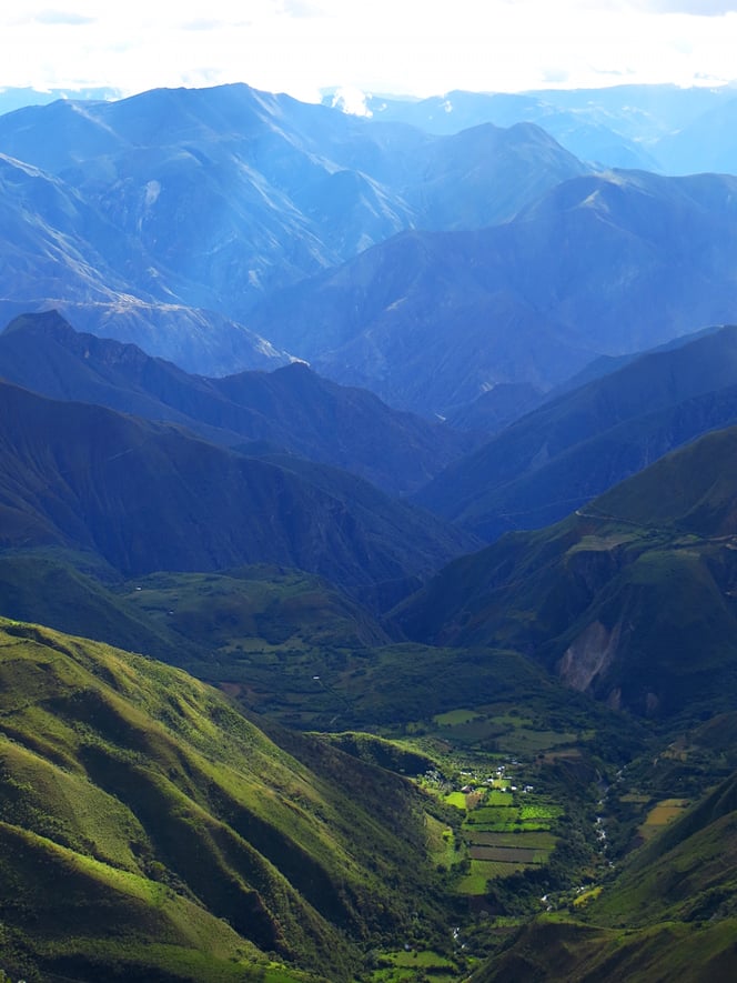 Dr füdleblutt Wahnsinn! (der nackte Wahnsinn)