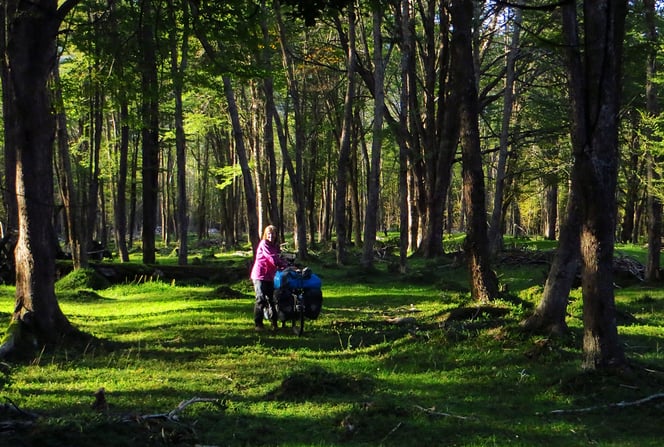 Ideal für eine ruhige Zeltnacht!