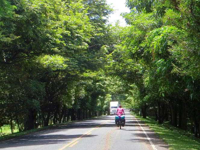 Pedalen im grünen Tunnel (vor der Grenze zu Costa Rica).