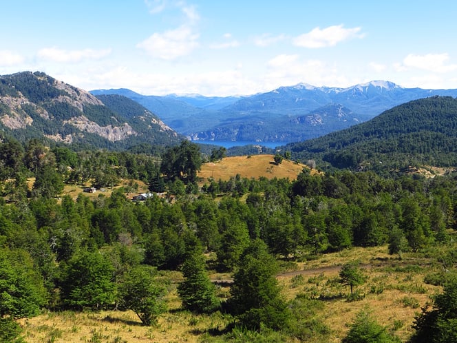 Ausblick auf den Lago Lacar.