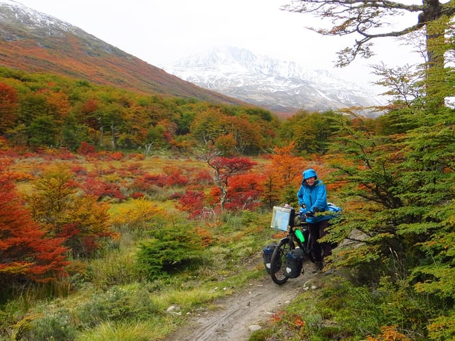 Die Herbstfarben sind umwerfend schön!