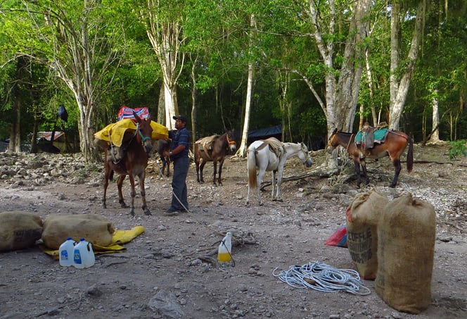 Nach einem interessanten Tag in El Mirador brechen wir am anderen Morgen früh auf. Zwei Tage Fussmarsch zurück nach Carmelita.