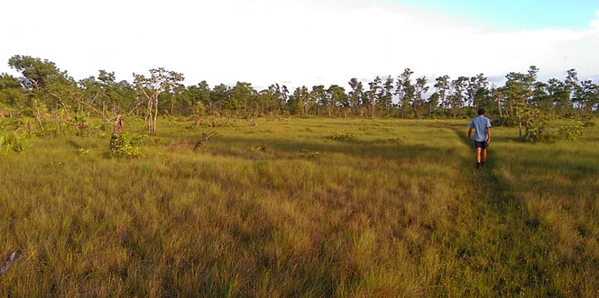 Erholsamer Abendspaziergang in der Savanne, nahe dem Savanna Guest House.