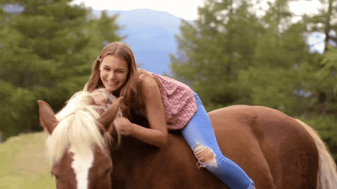 horse course, horse, horse challenge, horse camp