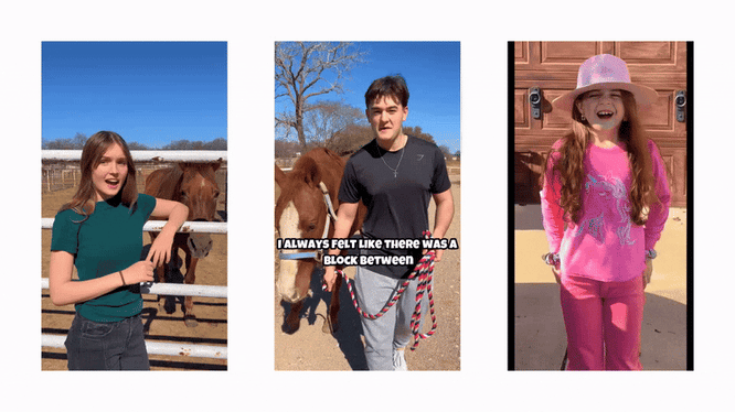 horse course, learn about horses, the wild adventure girls, horse course for kids