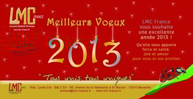 bonne annee 2013 lmc france Agenda cml leucemie myeloide chronique lmc cml leukemia leucémie myéloïde  cancer sang