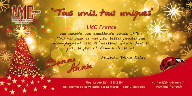 lmc france bonne nouvel an nouvelle annee 2016 voeux santé bonheur reussite leucemie myeloide chronique guerison recherche espoir