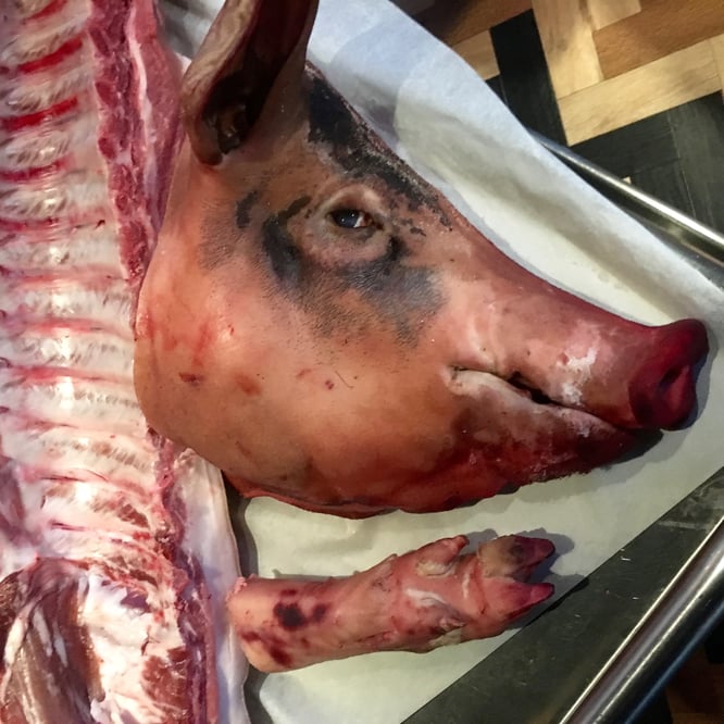 Vi bruker hodet når vi lager ribbe!