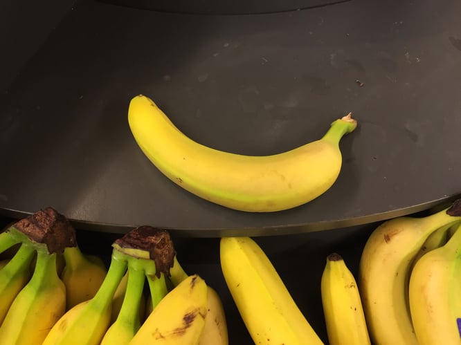 matsvinn kasting mat