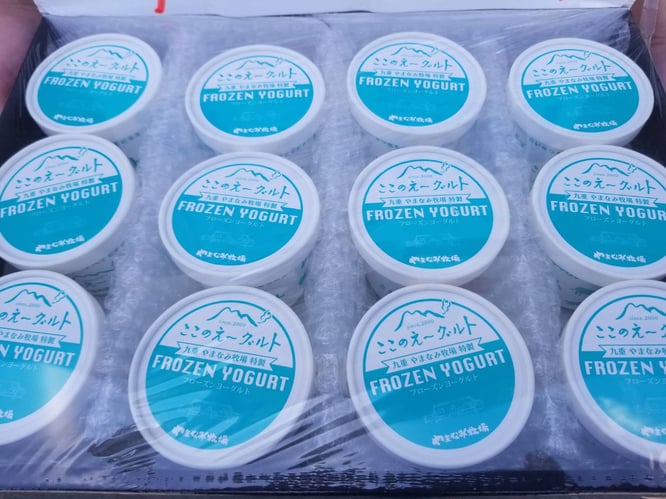 今回開発したフローズンヨーグルトの写真