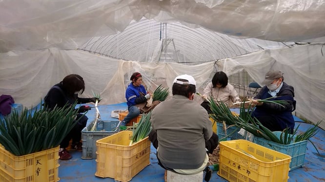 作業風景の写真