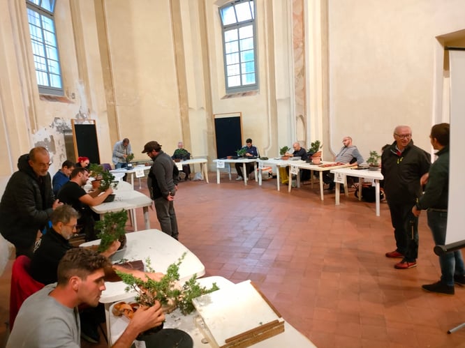 Concorso Miglior Bonsaista del Coordinamento 2022 - I concorrenti studiano le piante 