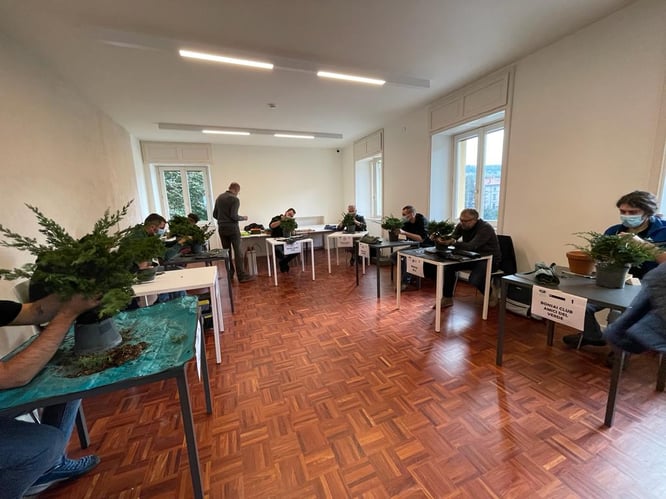 Miglior bonsaista 2021 - I concorrenti studiano le piante 