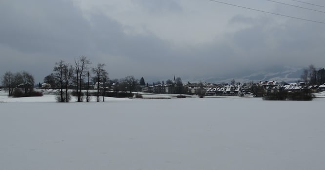 (Bilder: buebikernews)