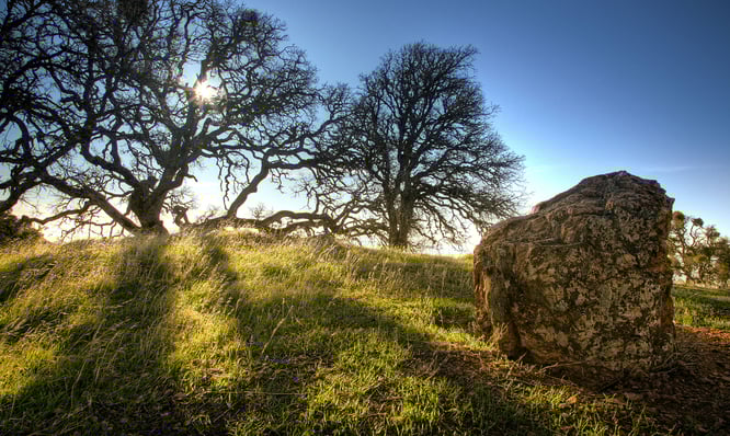 Vissionssuche für Männer