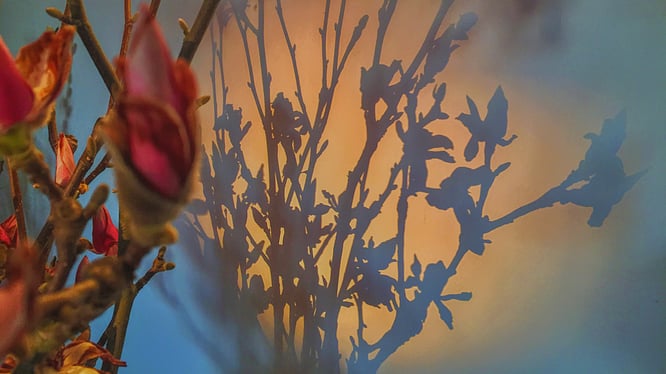 Sexualität in Gestaltprozessen - Weiterbildung für Therapeut*innen