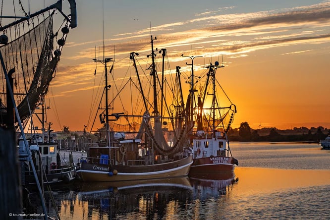 Mit dem Wohnmobil in Greetsiel