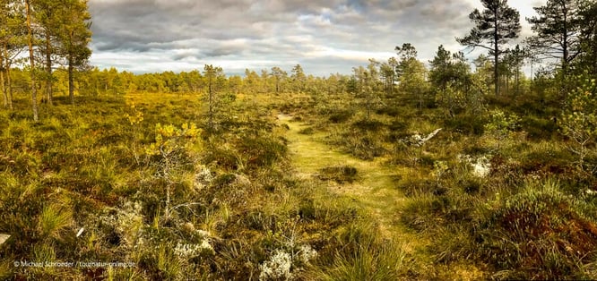 Puurijärvi and Isosuo National Park