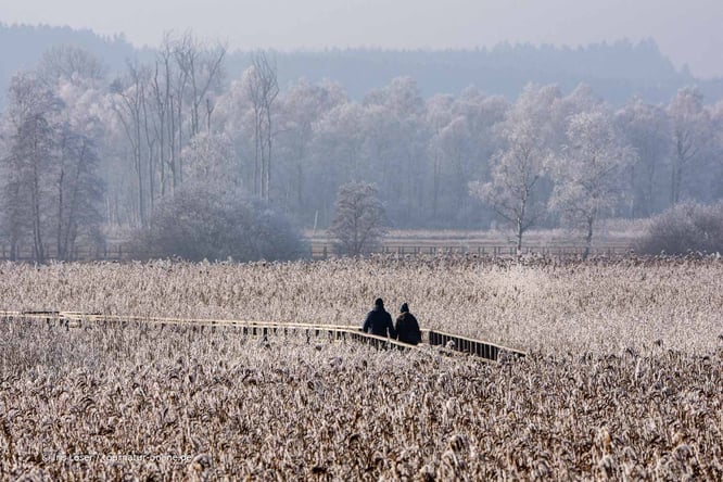 Federsee im Winter und Herbst