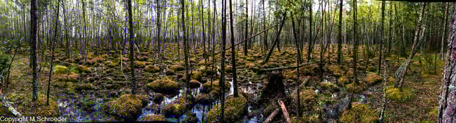 Takern See in Schweden mit dem Wohnmobil