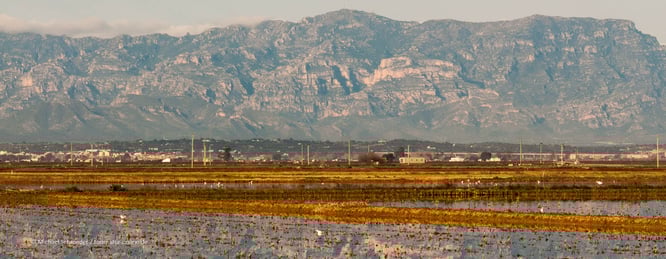 Mit dem Wohnmobil in Katalonien