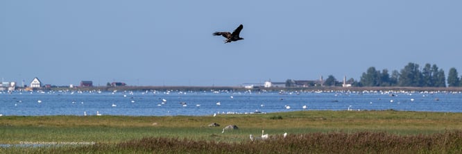 Mit dem Reisemobil im Baltikum jetzt in Estland