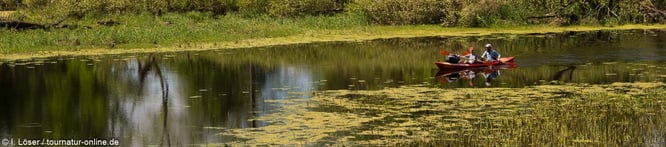 Mit dem Kajak durch den Biebrza Nationalpark, der Amazonas Polens und Europas
