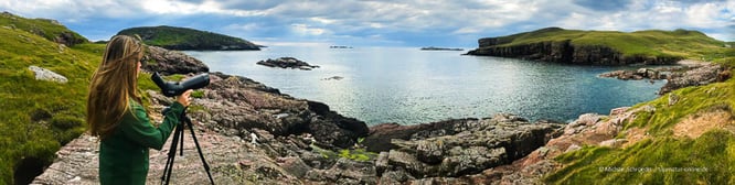 Vogelbeobachtung an der Küste der Schottischen Highlands