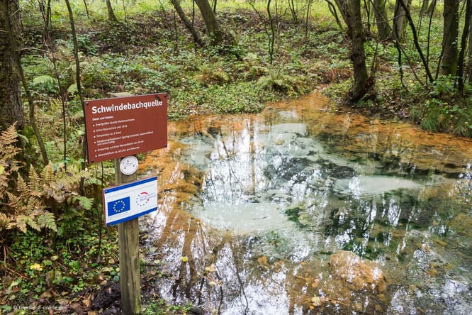 Die Lüneburger Heide