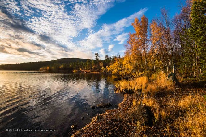 Den Indian Summer in Finnland nennt man Ruska oder Ruska-Aika