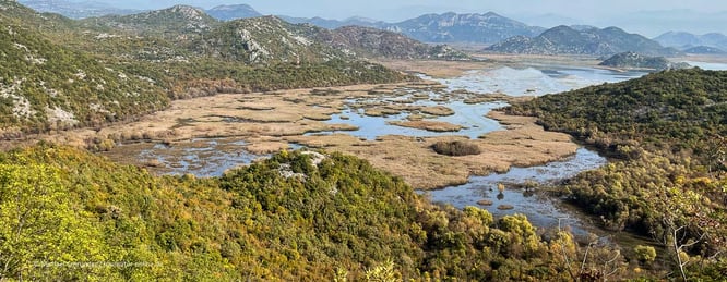 Mit dem Wohnmobil am Nationalpark entlang Panoramastraße 3