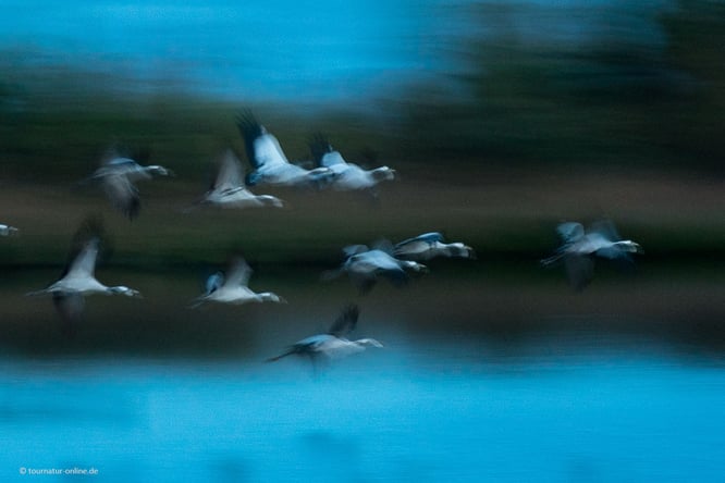 Mit dem Wohnmobil in der Lüneburger Heide