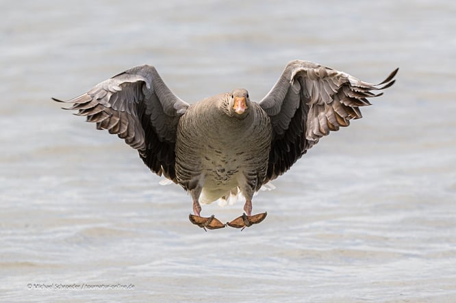 Mit dem Wohnmobil im Po-Delta