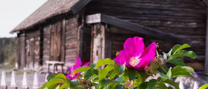 alte  Kulturreservate zeigen uns das Leben von früher