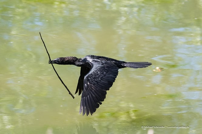 Mit dem Wohnmobil im Po-Delta