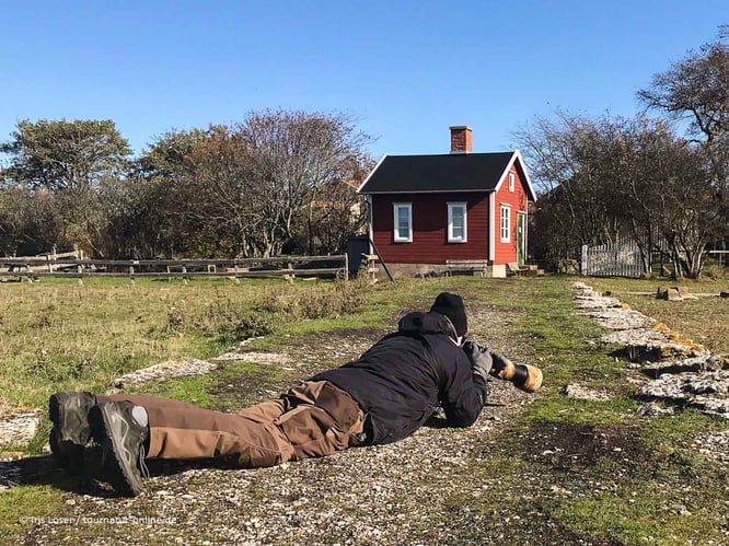 Tipps zum Fotografieren