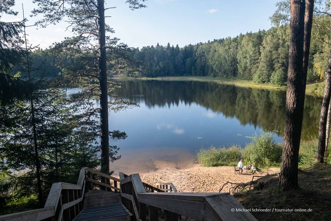 Mit dem Wohnmobil in Estland