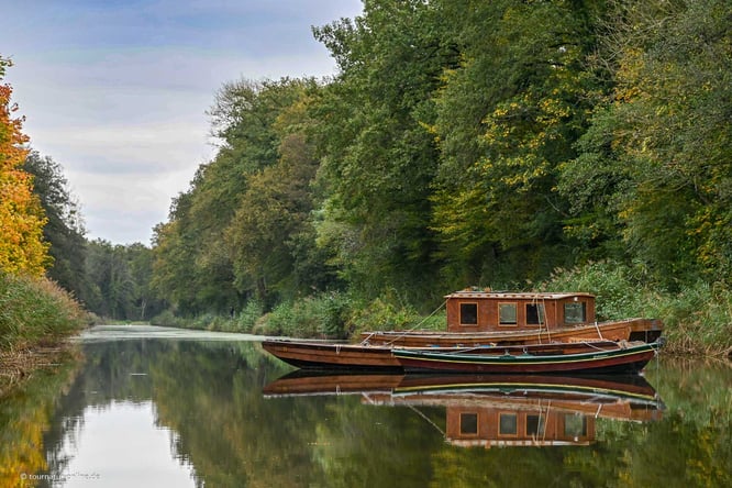 typische Boote der Loire
