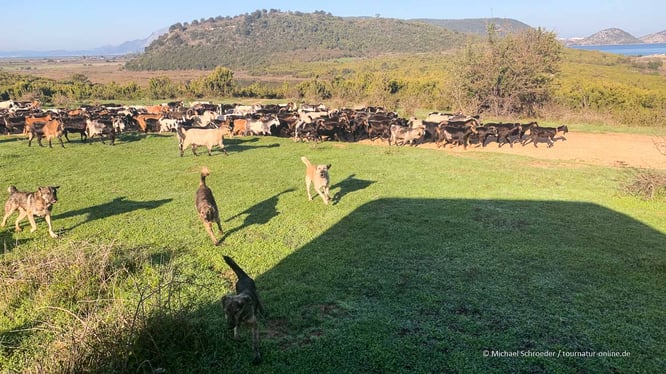 Mit dem Wohnmobil in Albanien