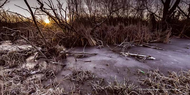 Naturparadies Kummerower See