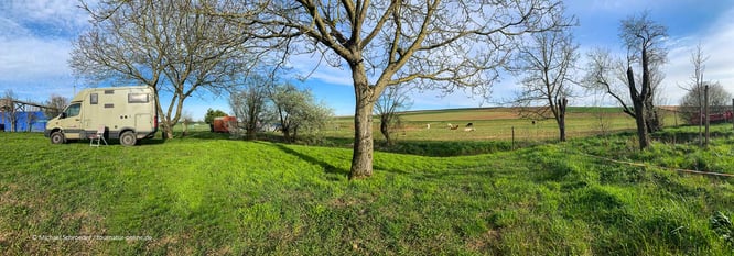 Mit dem Wohnmobil auf einem Weingut in der Pfalz