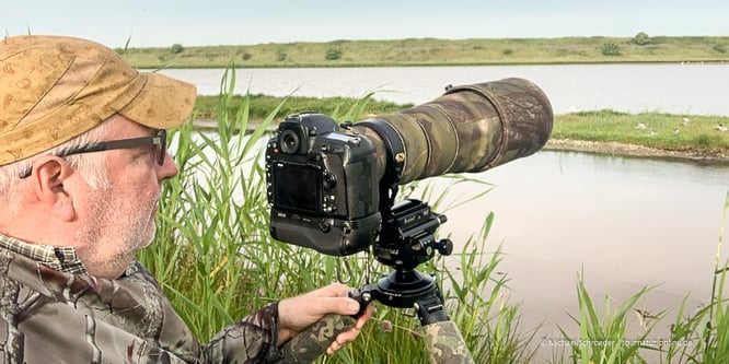 Texel - ein Paradies für Ornithologen