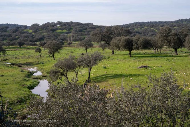 Mit dem Wohnmobil in der Extremadura