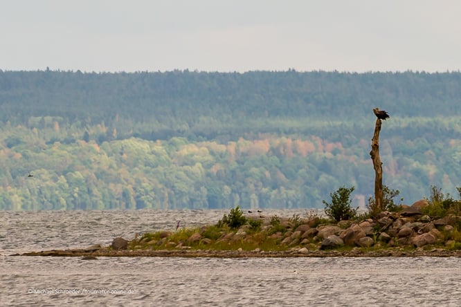 Mit dem Wohnmobil am Göta-Kanal