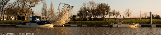 Wohnmobilstellplatz Wohnmobil Hafen Fischerboot Gironde Bordeaux Mortagne-surGironde