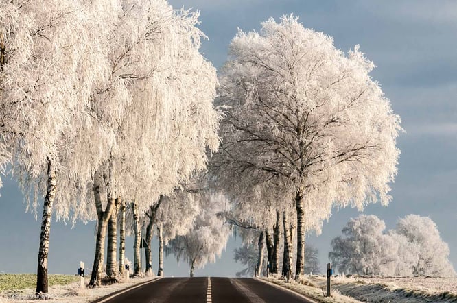 MIt dem Wohnmobil in der Heide