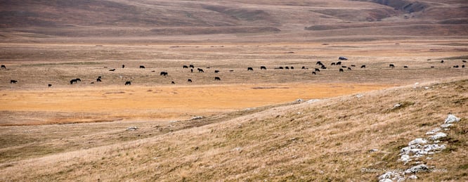 Mit dem Reisemobil durch Montenegro