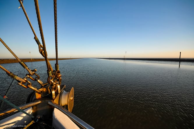 von Bensersiel: mit dem Kutter durch die Priele