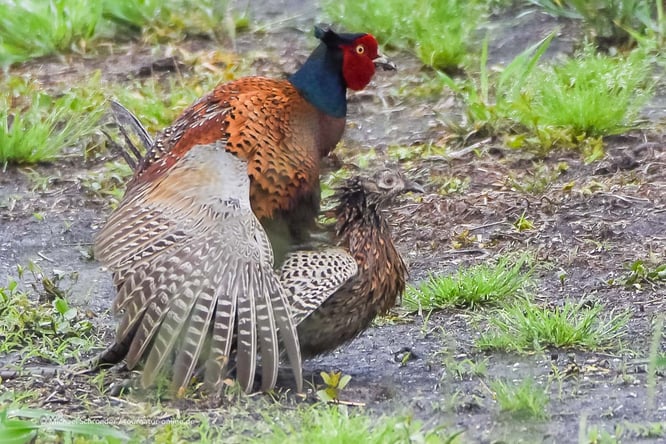 Mit dem Wohnmobil im Podelta